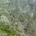 Slika se učitava...