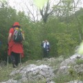 Slika se učitava...