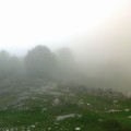 Slika se učitava...